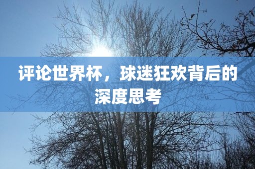 评论世界杯，球迷狂欢背后的深度思考
