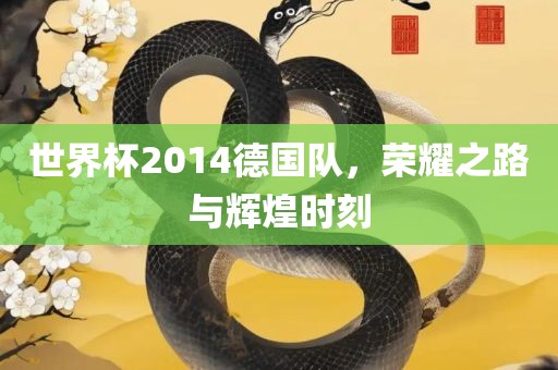 世界杯2014德国队，荣耀之路与辉煌时刻