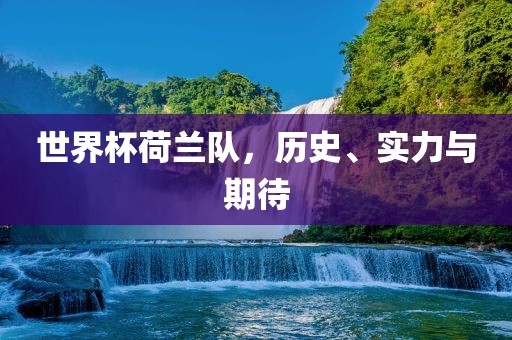 世界杯荷兰队，历史、实力与期待