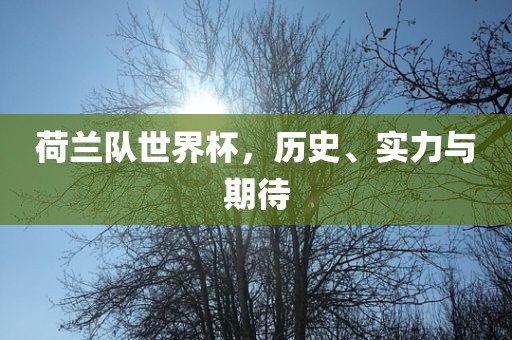 荷兰队世界杯，历史、实力与期待