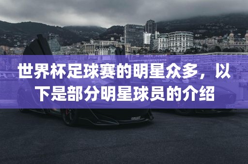 世界杯足球赛的明星众多，以下是部分明星球员的介绍