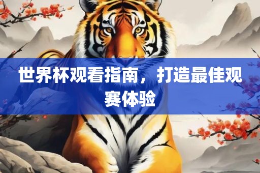 世界杯观看指南，打造最佳观赛体验