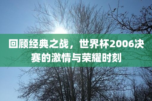 回顾经典之战，世界杯2006决赛的激情与荣耀时刻