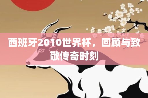 西班牙2010世界杯，回顾与致敬传奇时刻