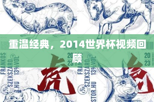 重温经典，2014世界杯视频回顾