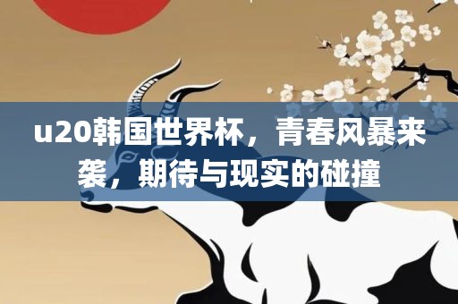 u20韩国世界杯，青春风暴来袭，期待与现实的碰撞