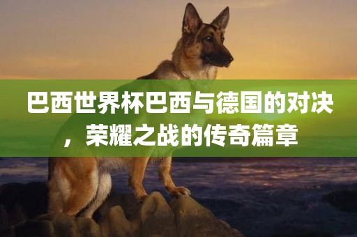 巴西世界杯巴西与德国的对决，荣耀之战的传奇篇章