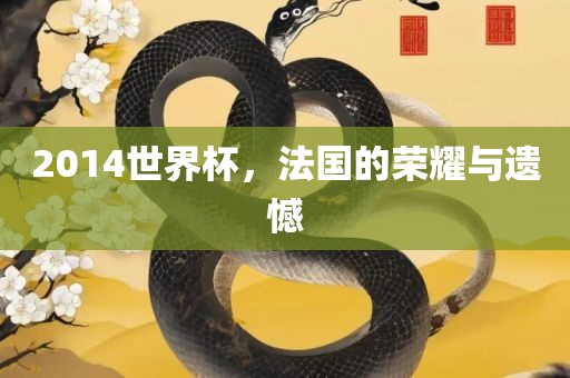 2014世界杯，法国的荣耀与遗憾