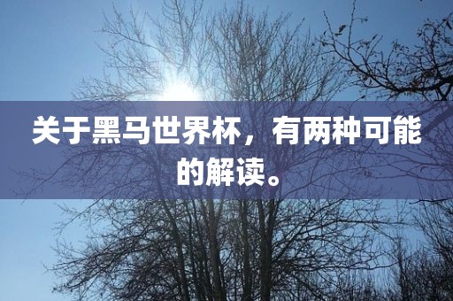 关于黑马世界杯，有两种可能的解读。