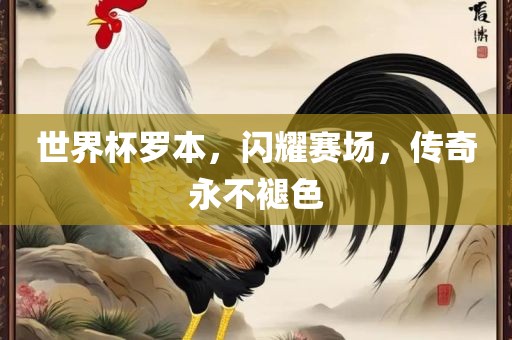 世界杯罗本，闪耀赛场，传奇永不褪色