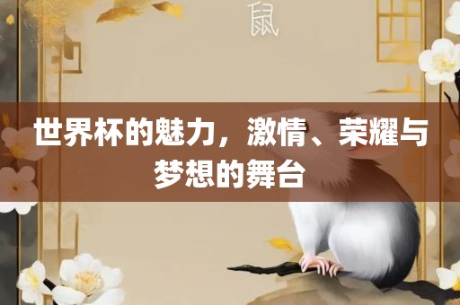世界杯的魅力，激情、荣耀与梦想的舞台