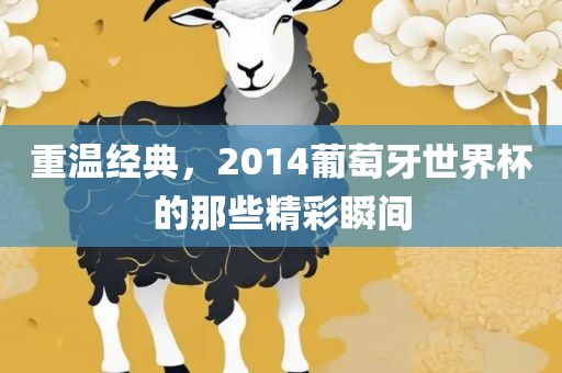 重温经典，2014葡萄牙世界杯的那些精彩瞬间