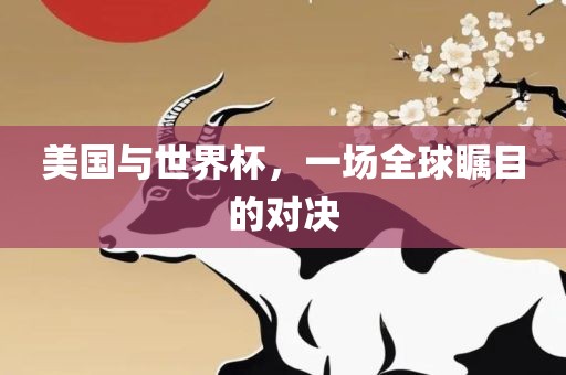 美国与世界杯，一场全球瞩目的对决