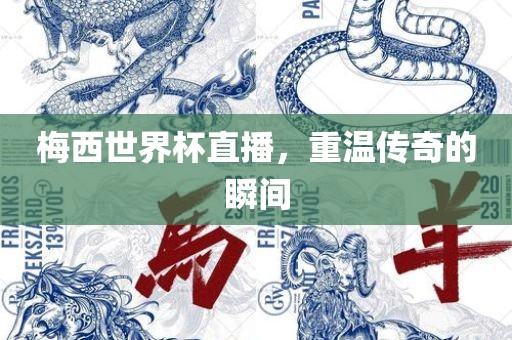 梅西世界杯直播，重温传奇的瞬间