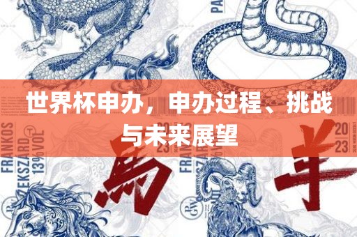世界杯申办，申办过程、挑战与未来展望