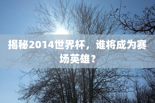揭秘2014世界杯，谁将成为赛场英雄？