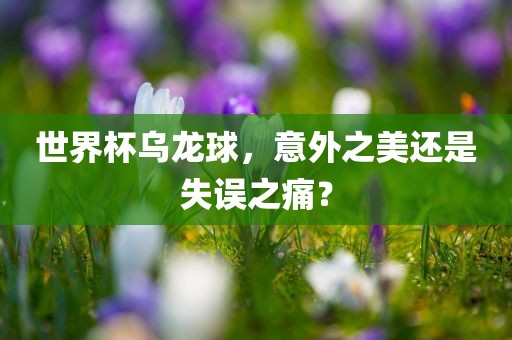 世界杯乌龙球，意外之美还是失误之痛？