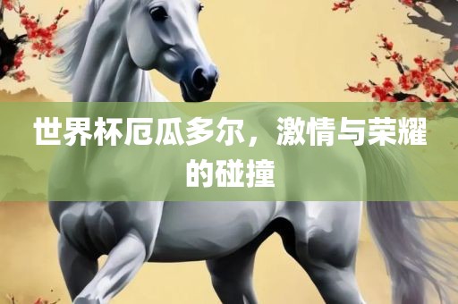 世界杯厄瓜多尔，激情与荣耀的碰撞
