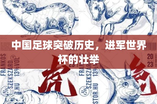 中国足球突破历史，进军世界杯的壮举