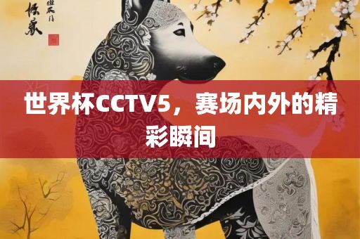 世界杯CCTV5，赛场内外的精彩瞬间