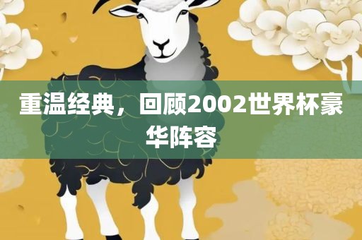 重温经典，回顾2002世界杯豪华阵容