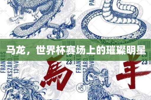 马龙，世界杯赛场上的璀璨明星