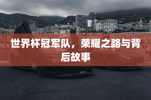 世界杯冠军队，荣耀之路与背后故事