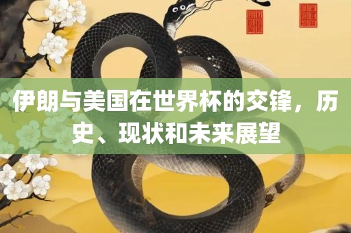 伊朗与美国在世界杯的交锋，历史、现状和未来展望眉山市正发家政服务有限公司