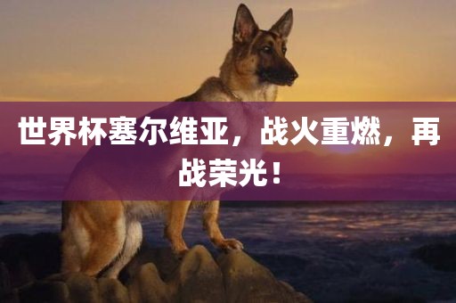 世界杯塞尔维亚，战火重燃，再战荣光！眉山市正发家政服务有限公司