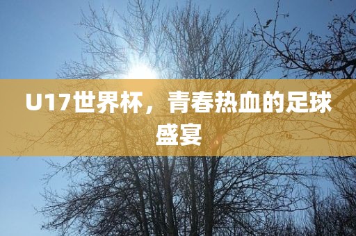 U17世界杯，青春热血的足球盛宴