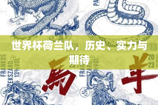 世界杯荷兰队，历史、实力与期待