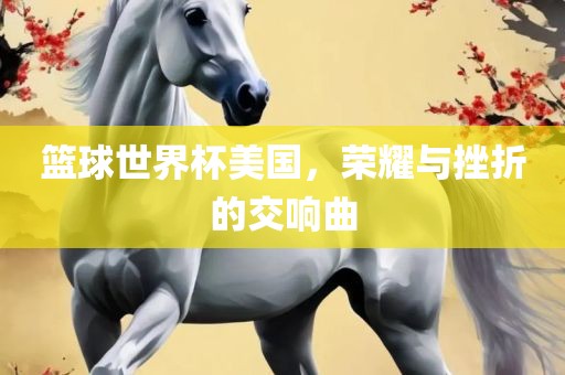 篮球世界杯美国，荣耀与挫折的交响曲眉山市正发家政服务有限公司