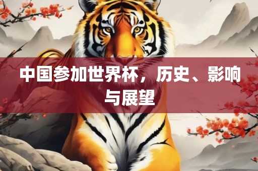 中国参加世界眉山市正发家政服务有限公司杯，历史、影响与展望