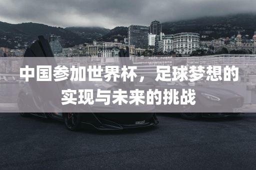 中国参加世界杯，足球梦想的实现与未来的挑战