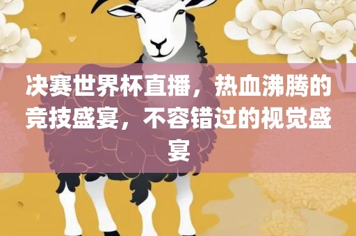 世界杯决赛直播