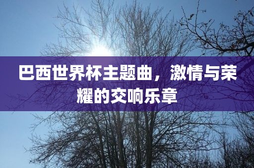 巴西世界杯主题曲，激情与荣耀的交响乐章