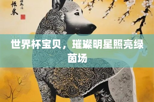 世界杯宝贝，璀璨明星照亮绿茵场眉山市正发家政服务有限公司