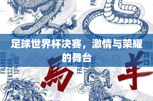 足球世界杯决赛，激情与荣耀的舞台