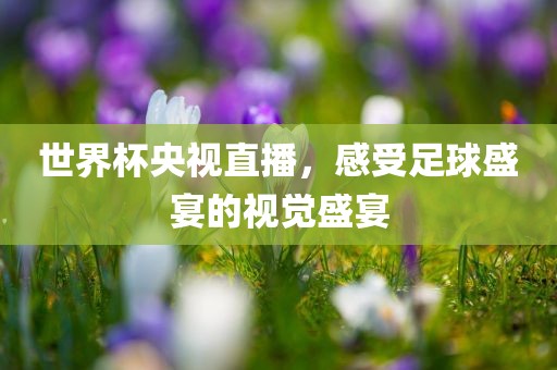 世界杯央视直播，感受足球盛宴的视觉盛宴