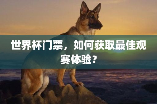 世界杯门票，如何获取最佳观赛体验？