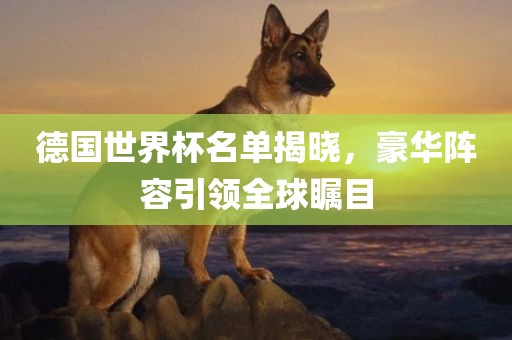 德国世界杯名单揭晓，豪华阵容引领全球瞩目
