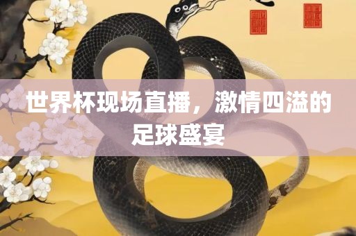 世界杯现场直播，激情四溢的足球盛宴眉山市正发家政服务有限公司