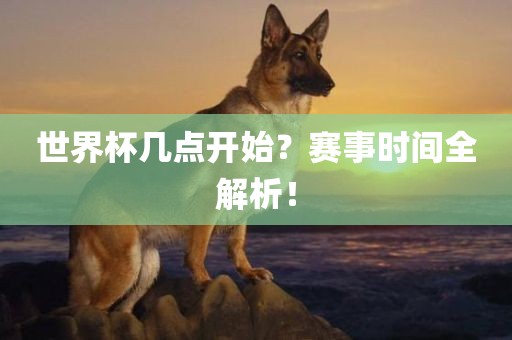 世界杯几点开始？赛事时间全解析！眉山市正发家政服务有限公司
