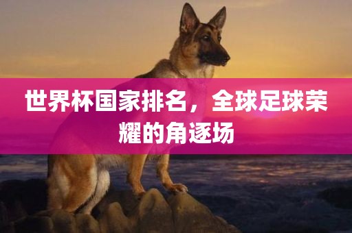 世界杯国家排名，全球足球荣耀的角逐场眉山市正发家政服务有限公司