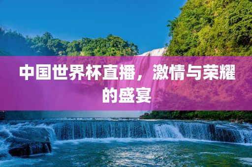 中国世界杯直播，激情与荣耀的盛宴眉山市正发家政服务有限公司