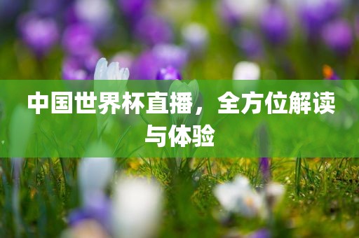 中国世界杯直播，全方位解读与体验眉山市正发家政服务有限公司
