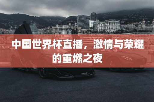 中国世界杯直播，激情与荣耀眉山市正发家政服务有限公司的重燃之夜