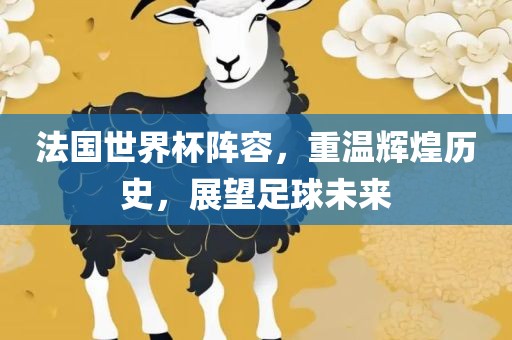 法国世界杯阵容，重温辉煌历史，展望足球未来眉山市正发家政服务有限公司
