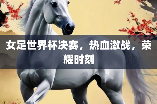 女足世界杯决赛，热血激战，荣耀时刻