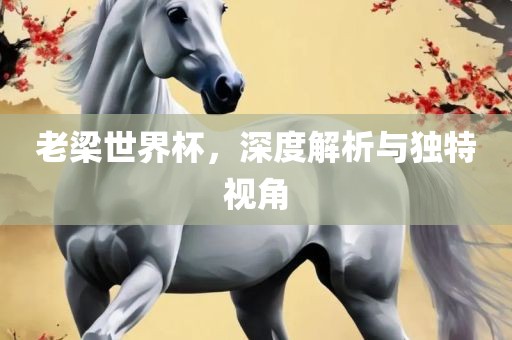 老梁世界杯，深度解析与独特视角